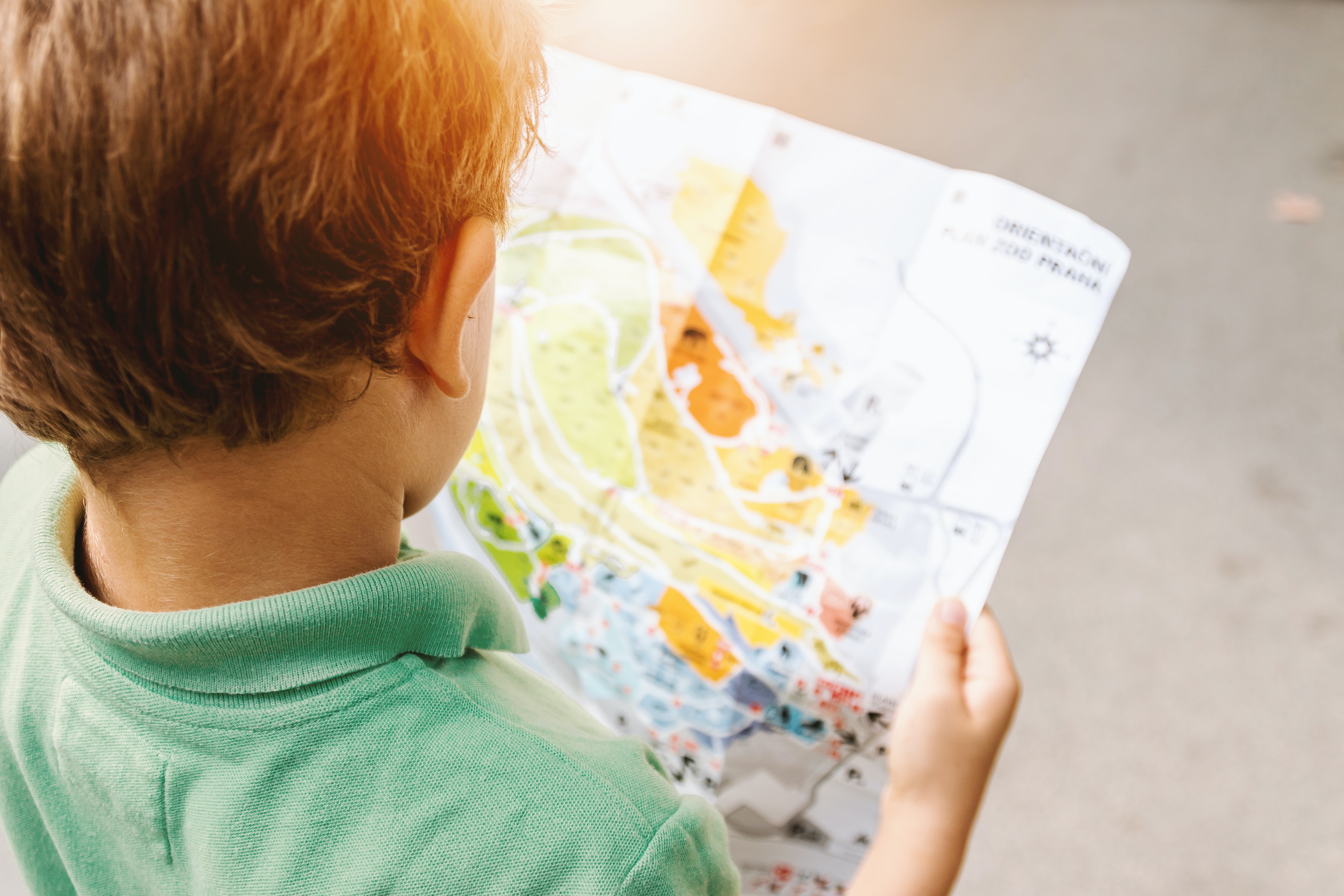 Child Looking at Map
